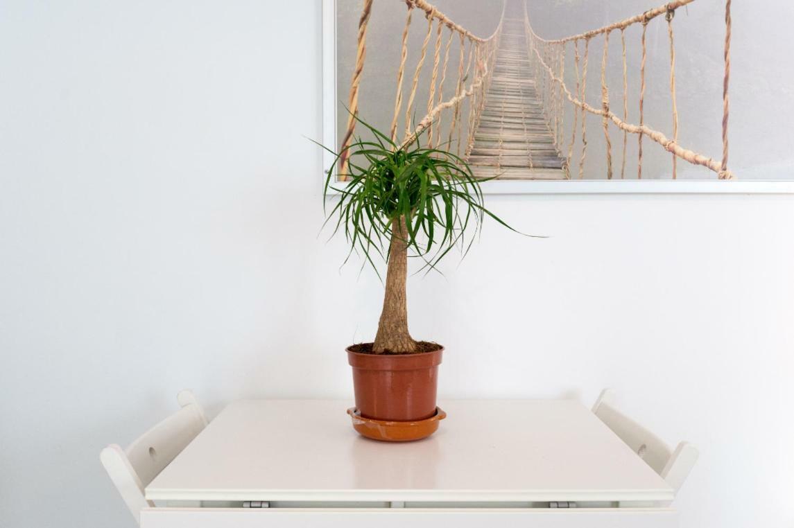 Ml1C-Prime Location Marble Apartment With Patios Malaga Zewnętrze zdjęcie