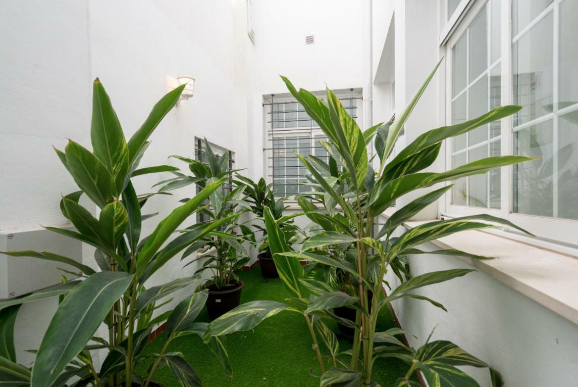 Ml1C-Prime Location Marble Apartment With Patios Malaga Zewnętrze zdjęcie